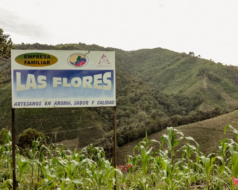 Finca Las Flore Pitalito Huila Colombia