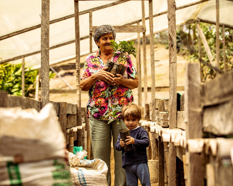 Gender equality in the colombian coffee industry conclusion