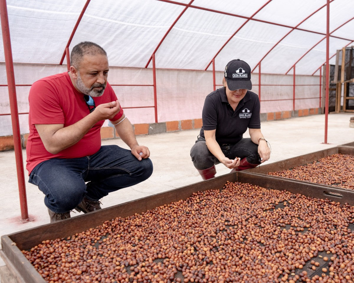 Hermanos coffee roasters visiting Colombian specialty coffee origin 