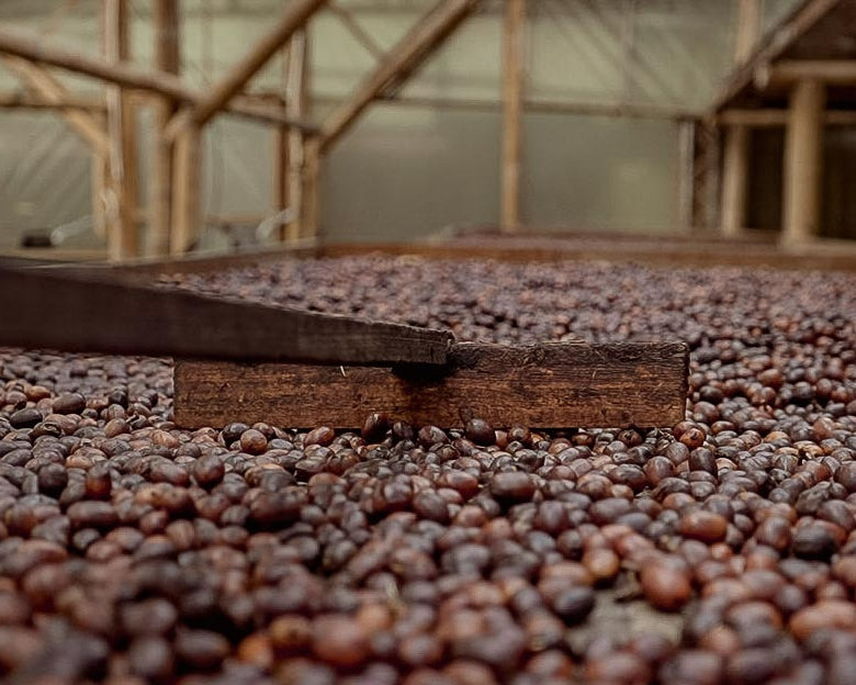 How The Natural Coffee Process Works