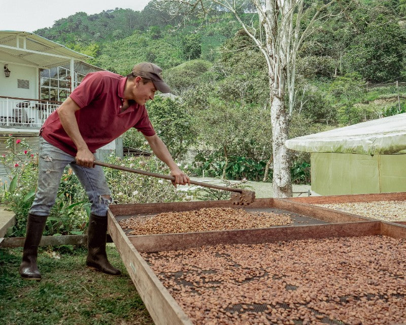 Natural Coffee Processing Concluding Thoughts