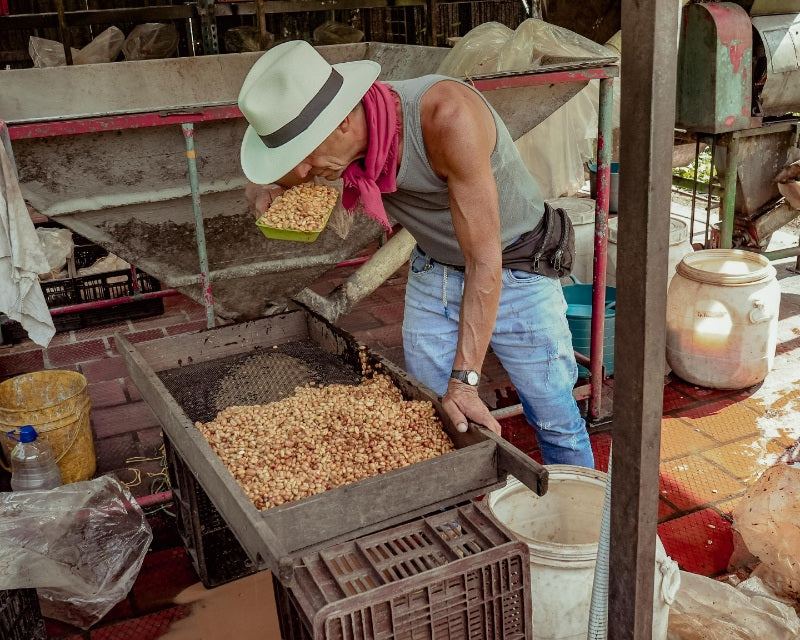 The Benefits Of The Natural Coffee Process