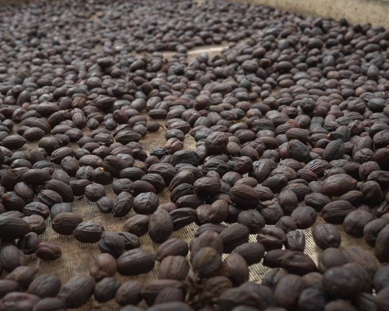 The characteristics of chocolatey coffee