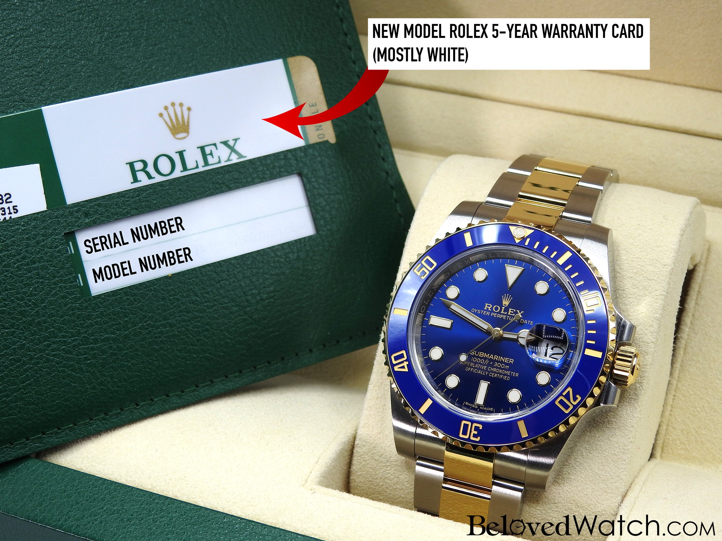 rolex serial number card