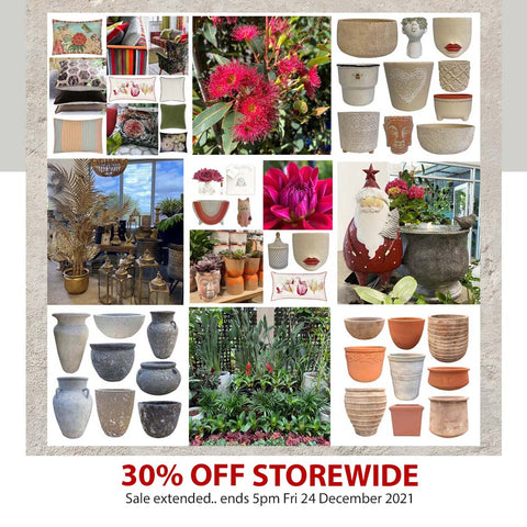 30% off storewide sale on now until 24 Dec 2021