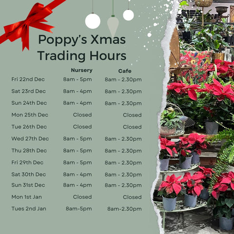 Poppy's Xmas Trading Hours