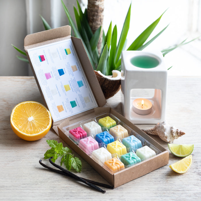 Fruity Wax Melts Sample Box