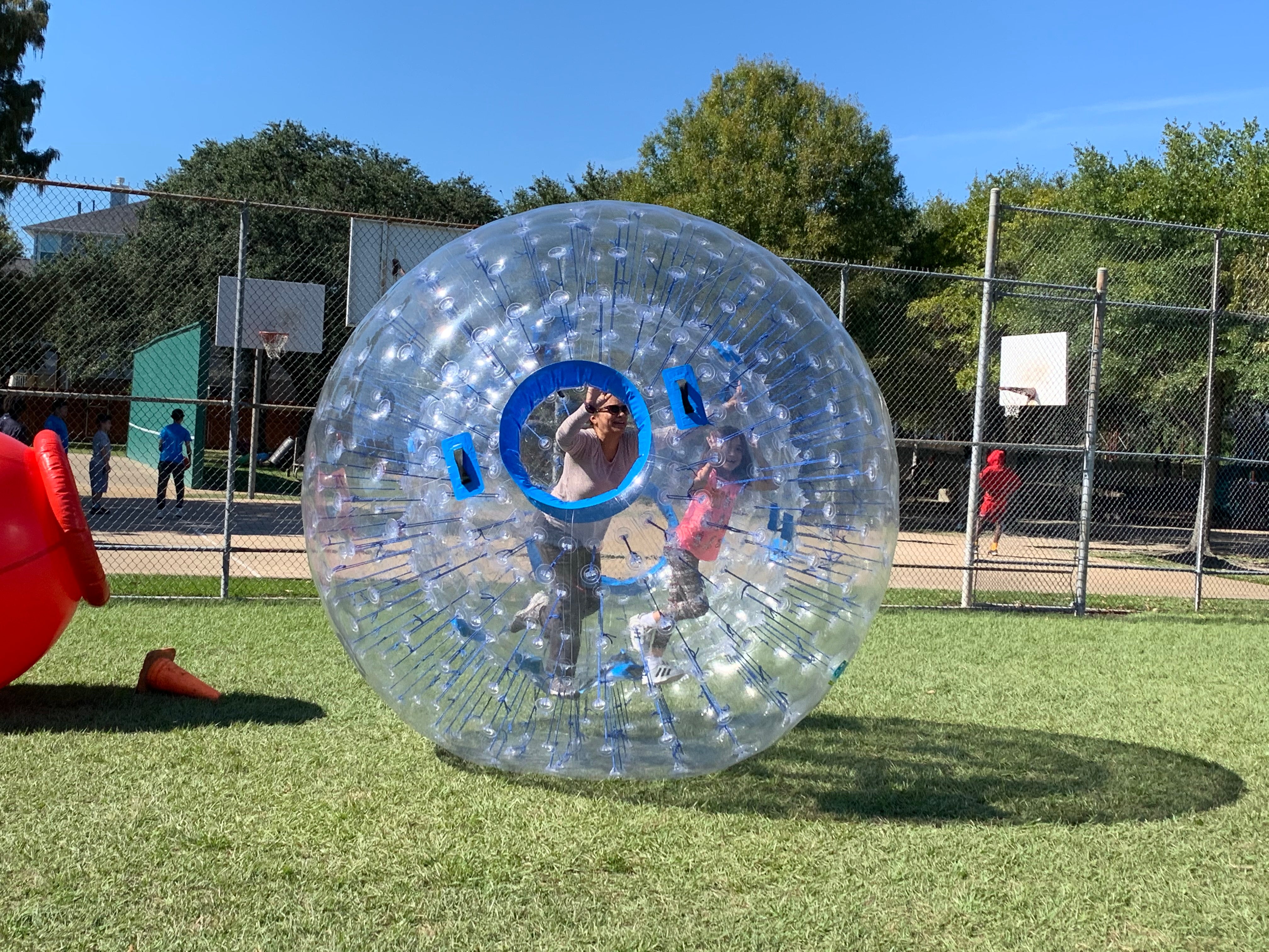 hamster ball cost