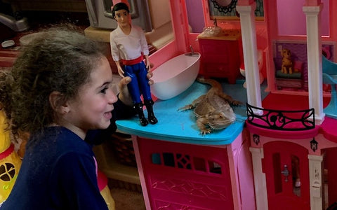 Little girl playing with her bearded dragon