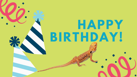 Animated Happy Birthday sign over a bearded dragon