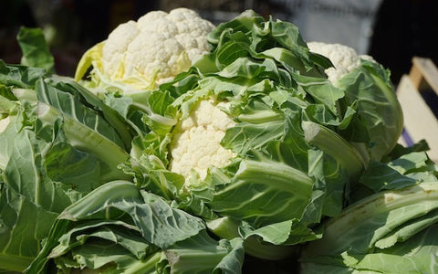 Can Bearded Dragons Eat Cauliflower Leaves?