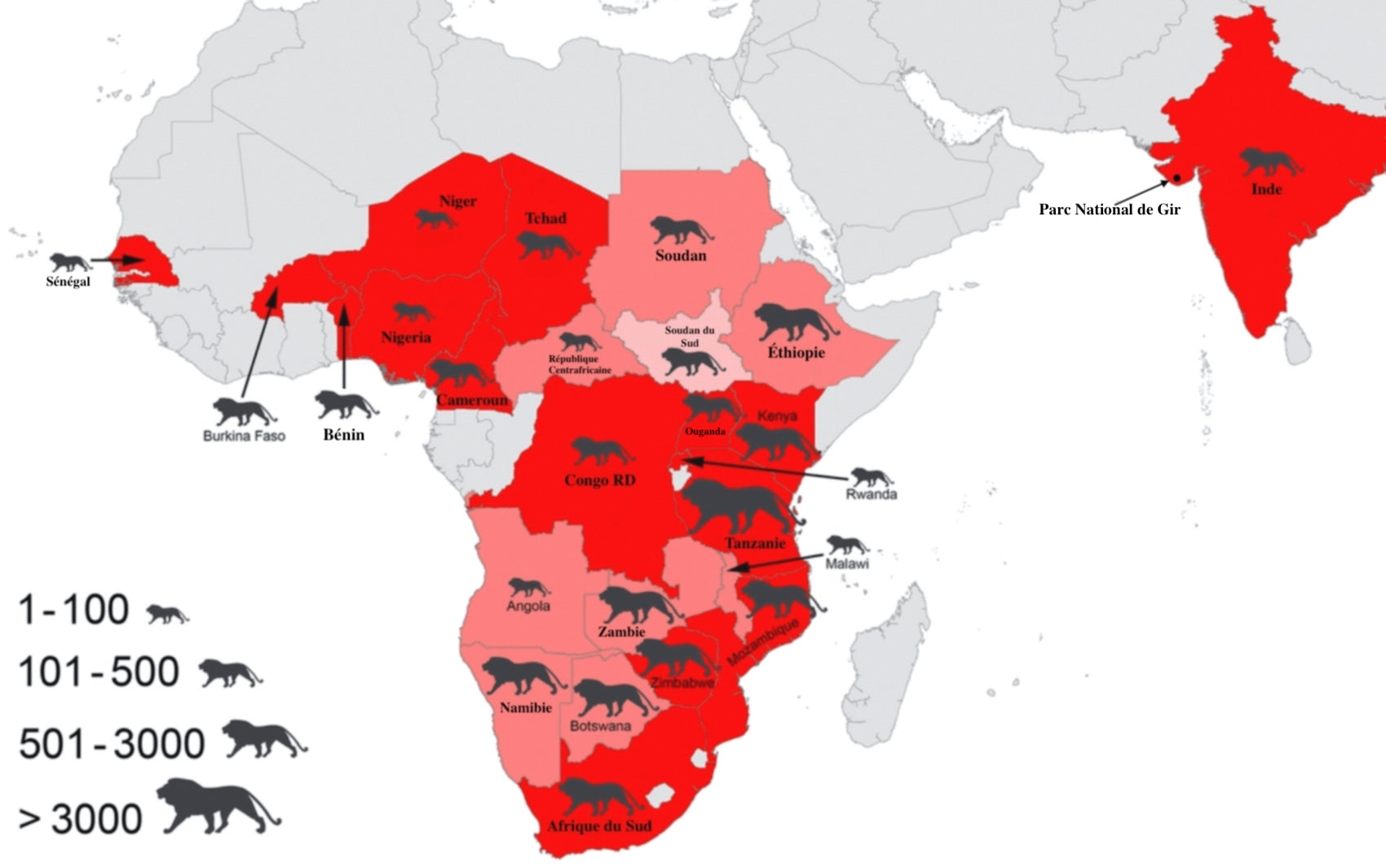 Carte du nombre et des territoires de Lions en Afrique