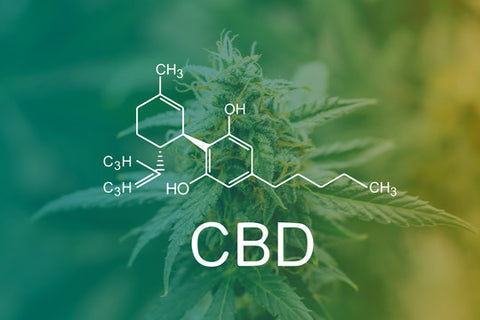 CBD (cannabidiol) - CBD (cannabidiol) is now famous for it's remedial properties