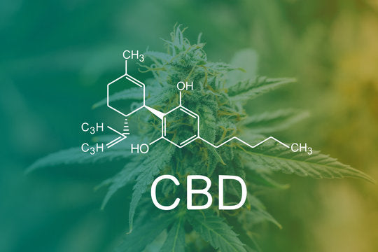 CBD (Cannabidiol) – CBD (Cannabidiol) ist ein nicht psychoaktives, nicht süchtig machendes Cannabinoid, das aus Hanf gewonnen wird