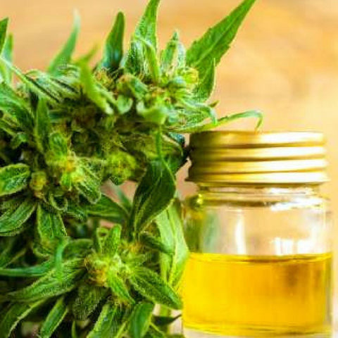 CBD (cannabidiol) - CBD (cannabidiol) is available in several forms