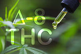 Delta 8 – Delta 8 THC (Tetrahydrocannabinol) schlägt massive Wellen auf dem Cannabismarkt