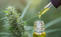 CBD (Cannabidiol) – CBD (Cannabidiol)-Öl ist eine der vielseitigsten Möglichkeiten, dieses erstaunliche Cannabinoid zu ergänzen