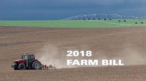 2018 American Farm Bill - the 2018 American Farm Bill is responsible to legalising anything hemp-derived