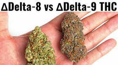 DELTA 8 - DELTA 8 EST LÉGÈREMENT PSYCHOACTIF, ALORS QUE DELTA 9 EST ROBUSTE