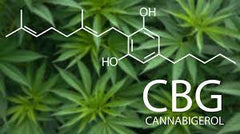 CBG (CANNABIGEROL) - BUY CBG (CANNABIGEROL) IN IRELAND