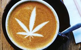 CBD INFUSED COFFEE IS JUST ONE BEVERAGE BECOMING VERY POPULAR