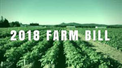 CBD (Cannabidiol) – CBD wird aus Hanf gewonnen, der im American Farm Bill von 2018 als rechtmäßig eingestuft wird