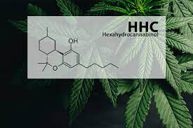 HHC (hexahydrocannabinol) - HHC is the latest cannabinoid to enter the cannabis market