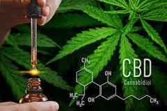 CBD (cannabidiol) - CBD (cannabidiol), derived from the hemp plant, is now a trusted remedy for many.