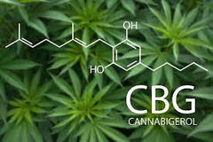 CBG (Cannabigerol) - CBG is a powerful cannabinoid that bring Moroccan hash to another level
