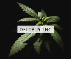 Delta 9 - Delta 9, otherwise known as THC (tetrahydrocannabinol)