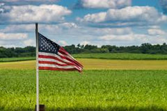 Delta 8 - Delta 8 THC (tetrahydrocannabinol) was deemed as a legal compound in the 2018 American Farm Bill