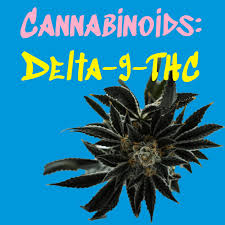 Delta 9 THC - Delta 9 THC (tetrahydrocannabinol), the robustly psychoactive cannabinoid derived from the cannabis plant