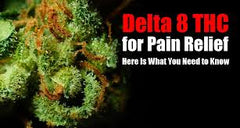 DELTA 8 - DELTA 8 THC CAN BE USED FOR PAIN RELIEF AND MANY OTHER PHYSICAL AND MENTAL HEALTH CONDITIONS