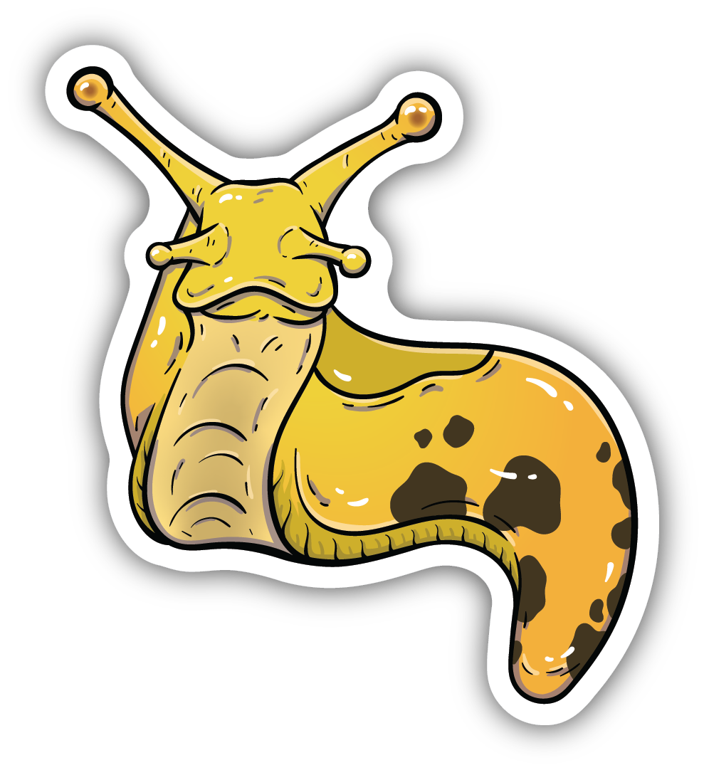 Stickers Northwest - Banana Slug Sticker – Kitchen Store & More