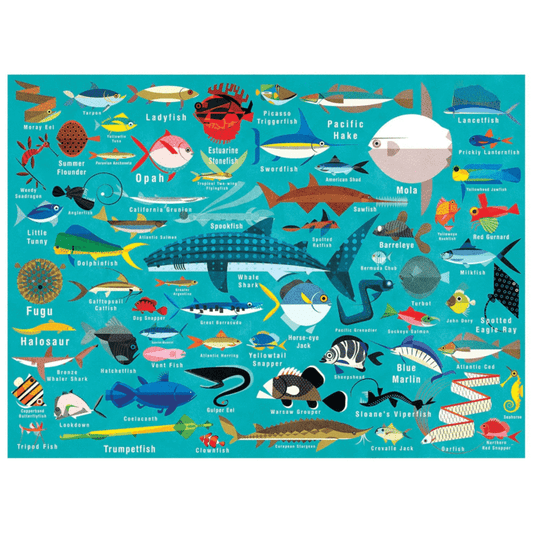 https://cdn.shopify.com/s/files/1/0273/1202/9753/products/ocean-life-1000-piece-puzzle-family-puzzles-mudpuppy-659949_720x_10f7b915-e266-4aae-bb2f-cd9aa399dc1d.png?v=1608754807&width=533