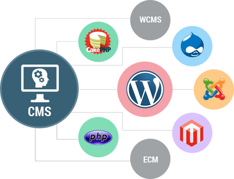 Getting More From Your CMS