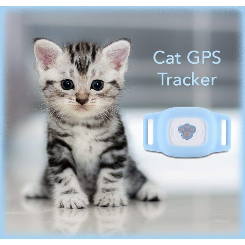 cat gps collar