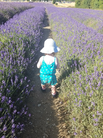 Elin enjoying the aisles of fresh lavendar at Hitchin Lavendar Farm