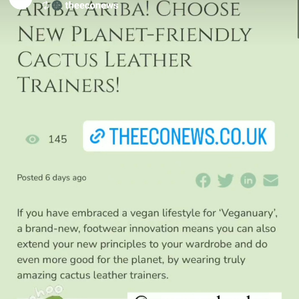 the eco news uk talks about cocorose london vegan trainers