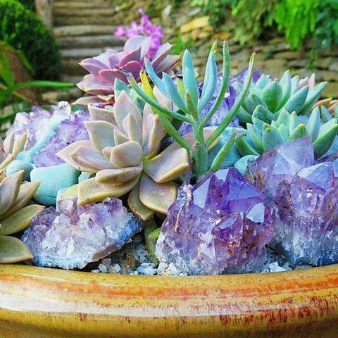 Gardening With Crystals