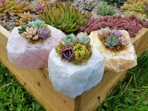 Gardening With Crystals