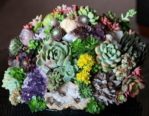 Gardening With Crystals