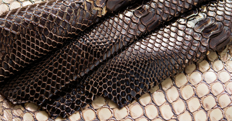 Exotic Python Leather