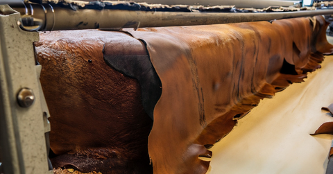 Leather Hides in Factory