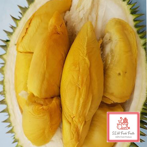 SLH Durian D101
