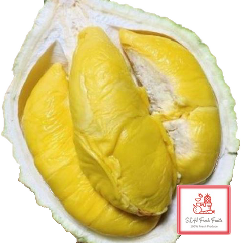 SLH Durian MAO SHAN WANG