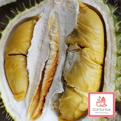 SLH Durian Tekka