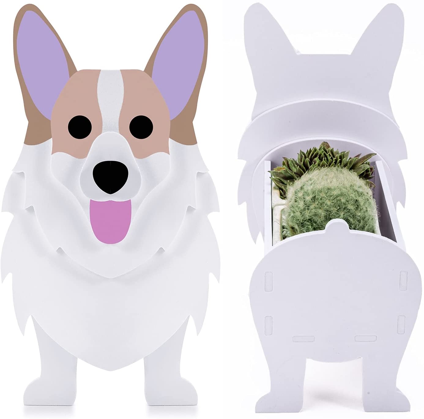 dog planters with succulent