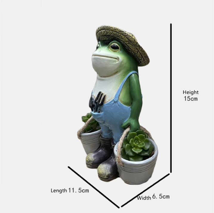 taille de jardinière succulente grenouille