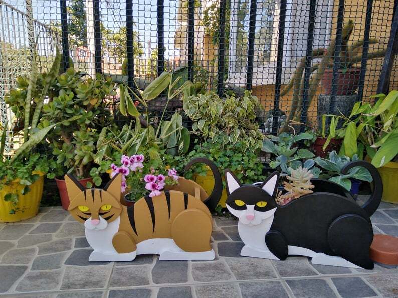 cats planters with succulent